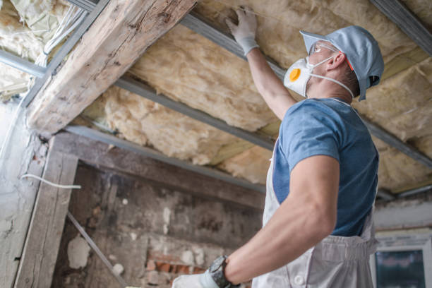 Best Spray Foam Insulation in Allyn, WA